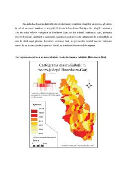 Referat - Analiza geo-demografică a macro-județului Hunedoara-Gorj