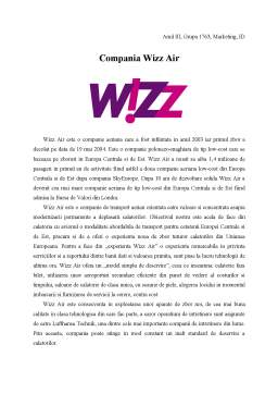 Referat - Companie prestatoare de servicii Wizz Air