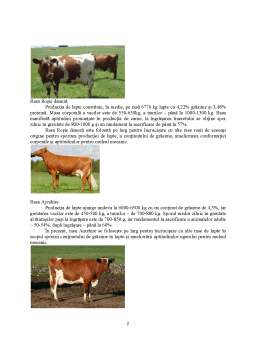 Referat - Identificarea speciilor și raselor furnizoare de carne și lapte