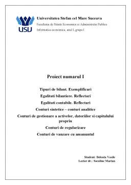 Proiect - Contabilitate - lucrări practice