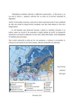 Proiect - Studiul fizico-geografic asupra mediului temperat continental