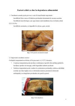 Proiect - Ambalaje și design în industria alimentară - Croissant