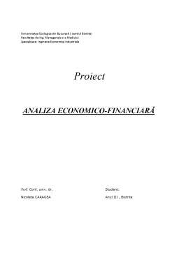Proiect - Analiza economico-financiară