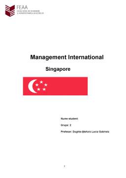 Proiect - Management Internațional - Singapore