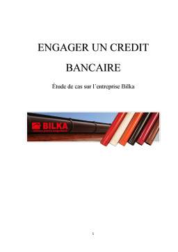 Proiect - Engager un credit bancaire