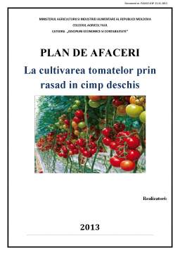 Proiect - Plan de afaceri - Cultivarea tomatelor prin răsad în câmp deschis