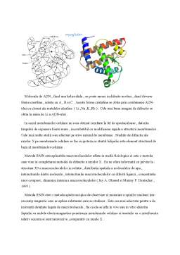 Referat - Biofizică moleculară
