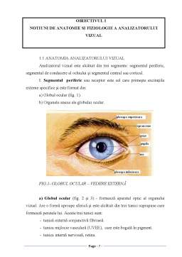 Licență - Ingrijirea bolnavului cu cataractă