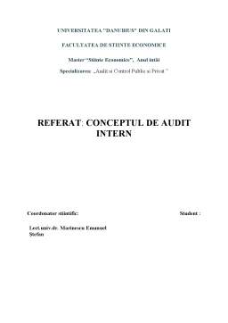Referat - Conceptul de audit intern