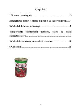 Proiect - Calculul de bilanț tehnologic pentru pasta de tomate
