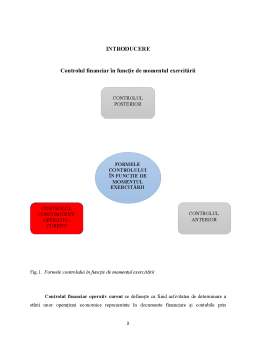 Proiect - Controlul financiar operativ-curent