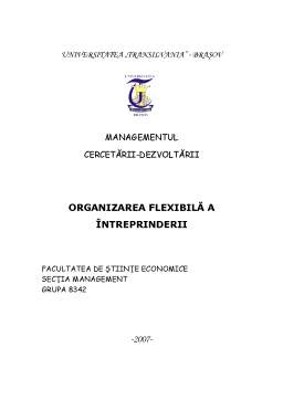 Referat - Managementul cercetării-dezvoltării - organizarea flexibilă a întreprinderii