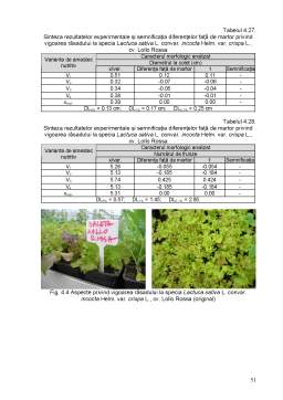 Licență - Studii privind influența amestecului nutritiv asupra unor caractere morfologice ale plantelor la unele specii legumicole ornamentale