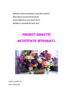 Proiect - Activitate integrată