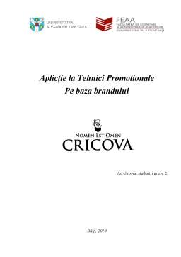 Proiect - Aplicație tehnici promoționale Cricova
