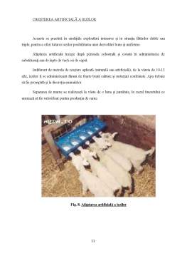 Proiect - Evoluția creșterii caprinelor de carne