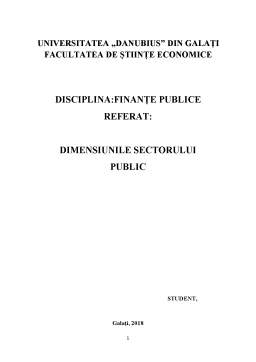 Referat - Dimensiunile sectorului public
