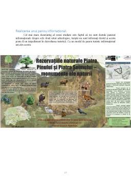 Proiect - Integrarea turistică a geositurilor din zona Gura Humorului - Piatra Pinului și Piatra Șoimului