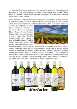 Proiect - Oferta vinurilor în România