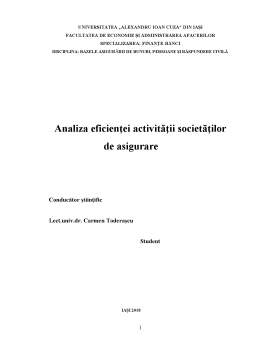 Proiect - Analiza eficienței activității societăților de asigurare