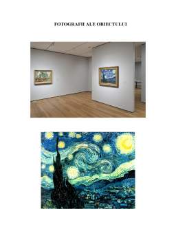 Proiect - Raport de autentificare și clasare - Starry night de Vincent van Gogh