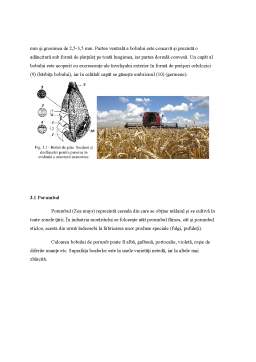 Proiect - Separarea impuritațiilor în masa cerealelor pentru samănat