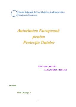 Seminar - Autoritatea europeană pentru potecția datelor