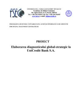 Proiect - Elaborarea diagnosticului global-strategic la UniCredit Bank SA