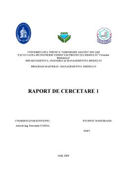Proiect - Raport de cercetare