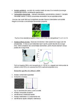 Proiect - Microscopul electronic de baleiaj (SEM)