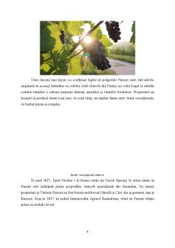 Proiect - Analiza - Diagnostic a lichidității și solvabilității financiare a societății Purcari Winery