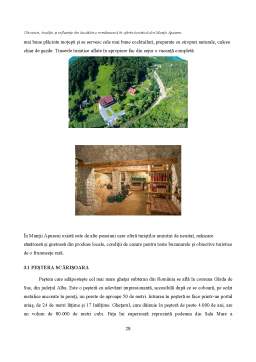 Proiect - Obiceiuri, tradiții și influențe din bucătăria românească în oferta turistică din Munții Apuseni