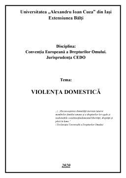 Referat - Violența domestică - comentariu jurisprudență