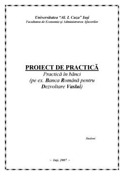 Proiect - Practică în bănci - Banca Română pentru Dezvoltare Vaslui