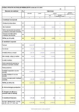 Referat - Analiza financiară a firmei societatea de construcții Napoca SA