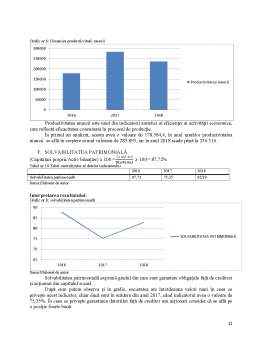 Proiect - Calculul indicatorilor economici ai SC Mecanică Ceahlău SA