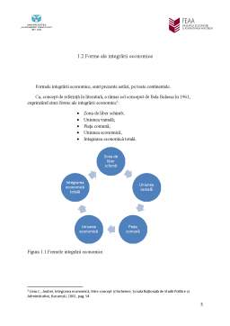 Proiect - Formele integrării economice