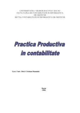 Proiect - Practica Productiva in Contabilitate