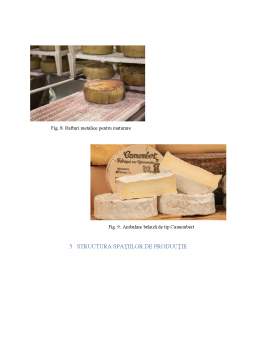Proiect - Proiectarea unei secții de obținere a brânzei moi cu mucegai