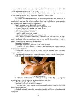 Curs - Anatomia coloanei vertebrale