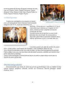 Referat - Strategii pentru valorificare turistică a geomorfositului carstic - peștera cu cristale din mina Farcu