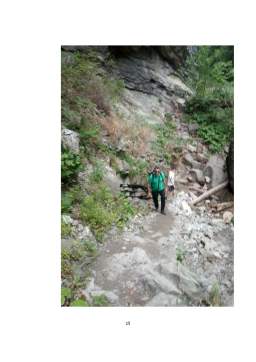 Proiect - Organizarea și desfășurarea unei activități practice de turism montan în Rezervația Naturală Tișița - Cheile Tisitei