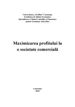 Proiect - Maximizarea profitului la o societate comercială