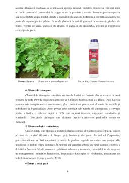 Referat - Insecticide de origine vegetală