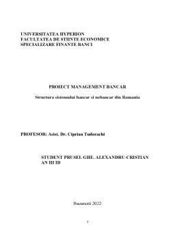 Proiect - Structura sistemului bancar și nebancar din România