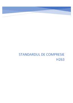 Referat - Standardul de compresie H263
