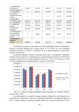 Disertație - Execuția bugetului local al Primăriei Municipiului Pașcani și rolul ordonatorului principal de credite în administrarea banului public