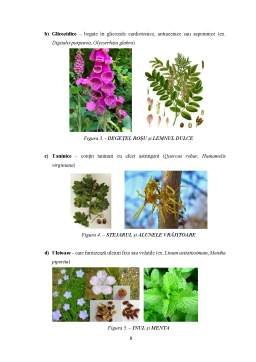 Prelucrarea drogurilor vegetale în preparate farmaceutice