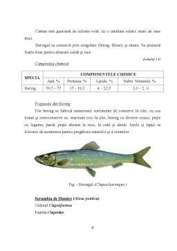 Licență - Studiu privind obținerea unor semiconserve din pește la SC Tazz Trade SRL