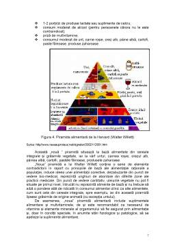 Referat - Piramidele Alimentare